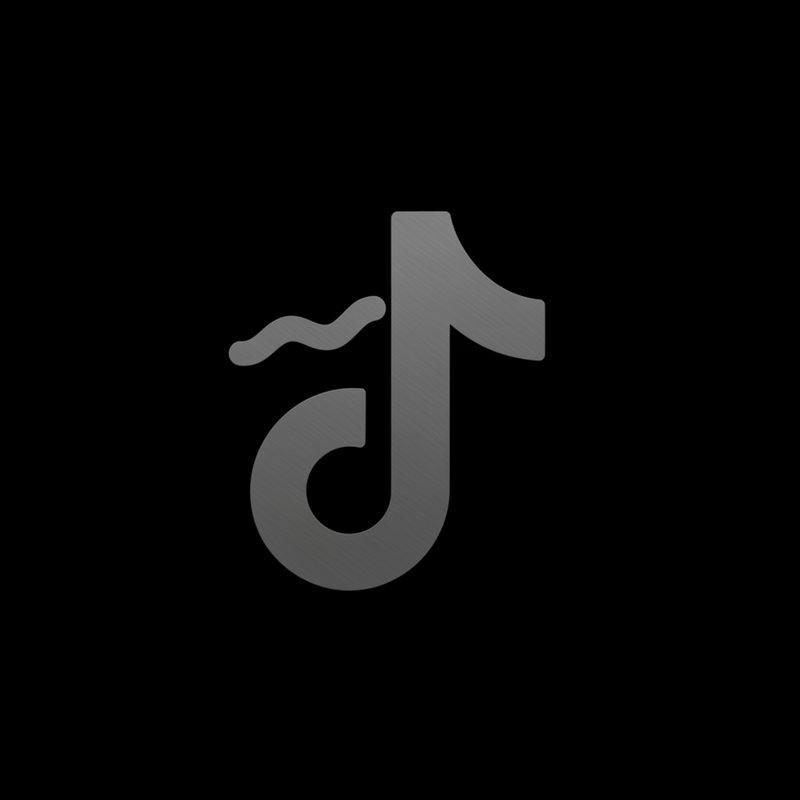 TikTok Icon